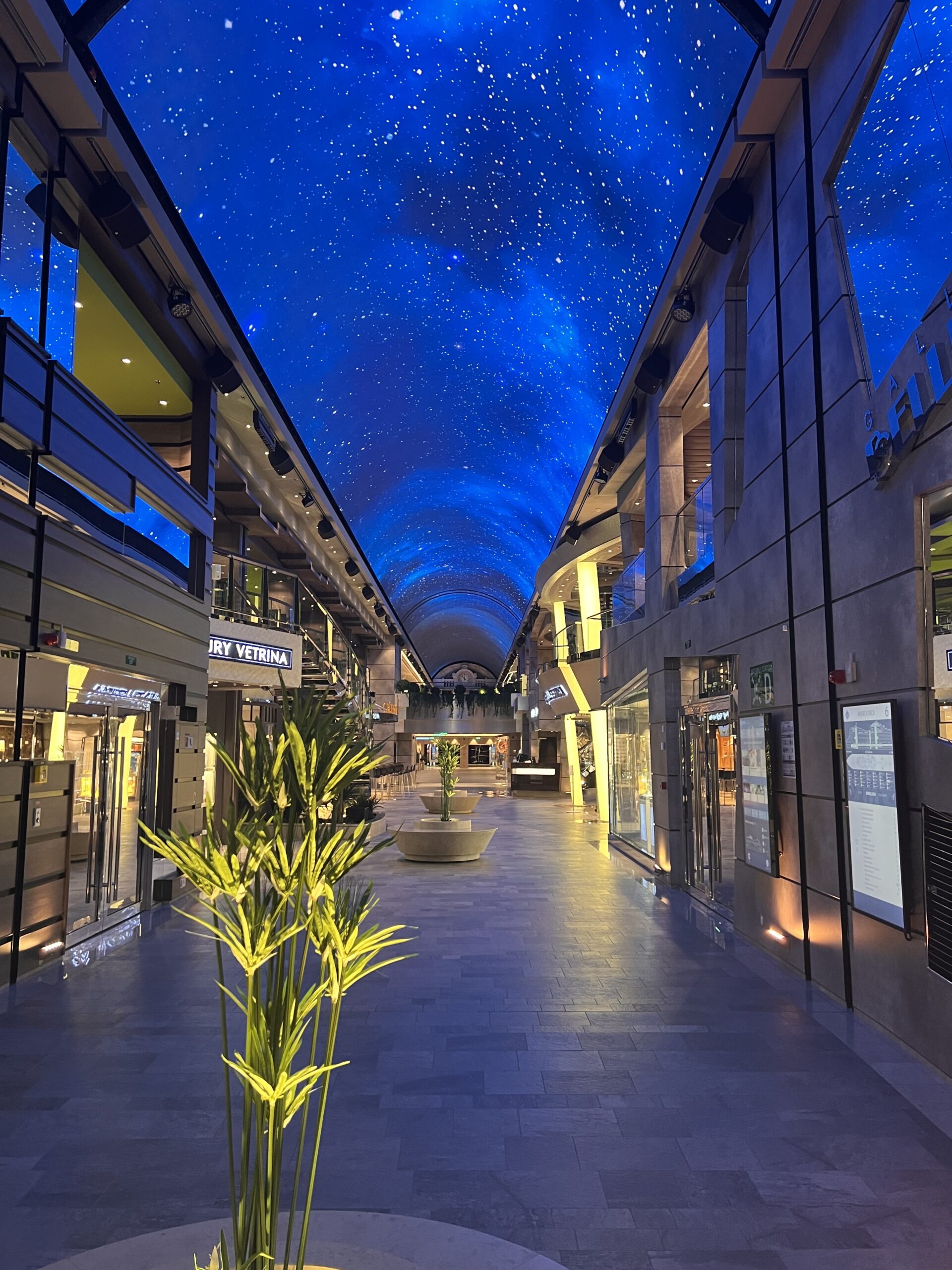 船内スワロフスキー階段